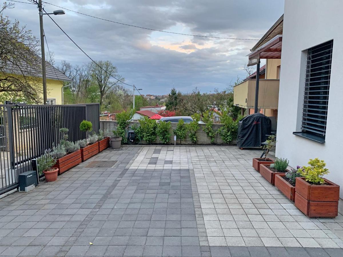 Maksimir Yard
